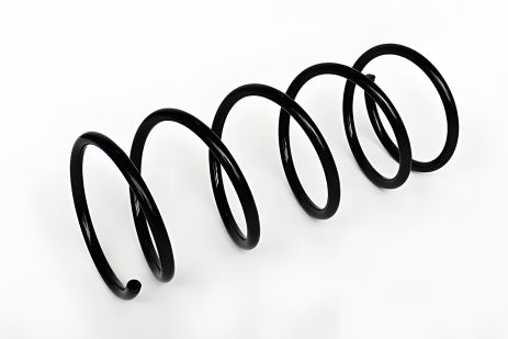 Пружина підвіски FORD FOCUS, ASAM (73763) - Підвіски та пружини