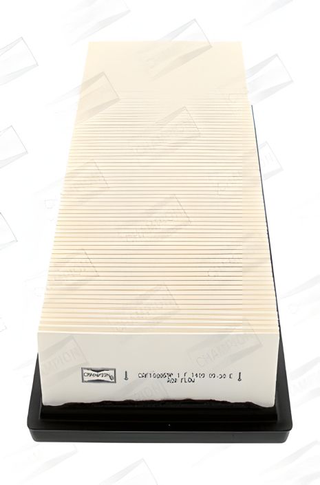 Повітряний фільтр SANTANA 300/350, SUZUKI LIANA, PEUGEOT 3008, CHAMPION (номер CAF100859P)