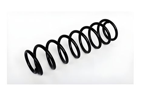 Пружина подвески для SKODA FABIA, ASAM (73754)