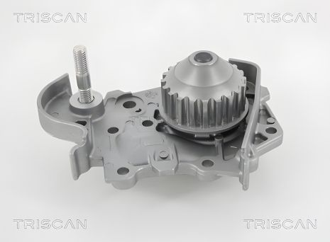 Водяний насос, помпа DACIA LOGAN, RENAULT LOGAN, RENAULT SANDERO/STEPWAY, TRISCAN (860025010) Водяний насос, помпа DACIA LOGAN, RENAULT LOGAN, RENAULT SANDERO/STEPWAY, TRISCAN (860025010)