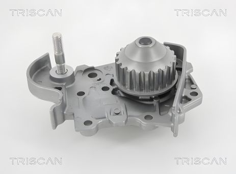 Водяний насос, помпа DACIA LOGAN, RENAULT LOGAN, RENAULT SANDERO/STEPWAY, TRISCAN (860025010) Водяний насос, помпа DACIA LOGAN, RENAULT LOGAN, RENAULT SANDERO/STEPWAY, TRISCAN (860025010)