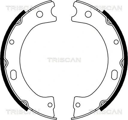 Комплект гальмівних колодок NISSAN NT400, NISSAN CABSTAR, NISSAN PATROL, TRISCAN (810014011)