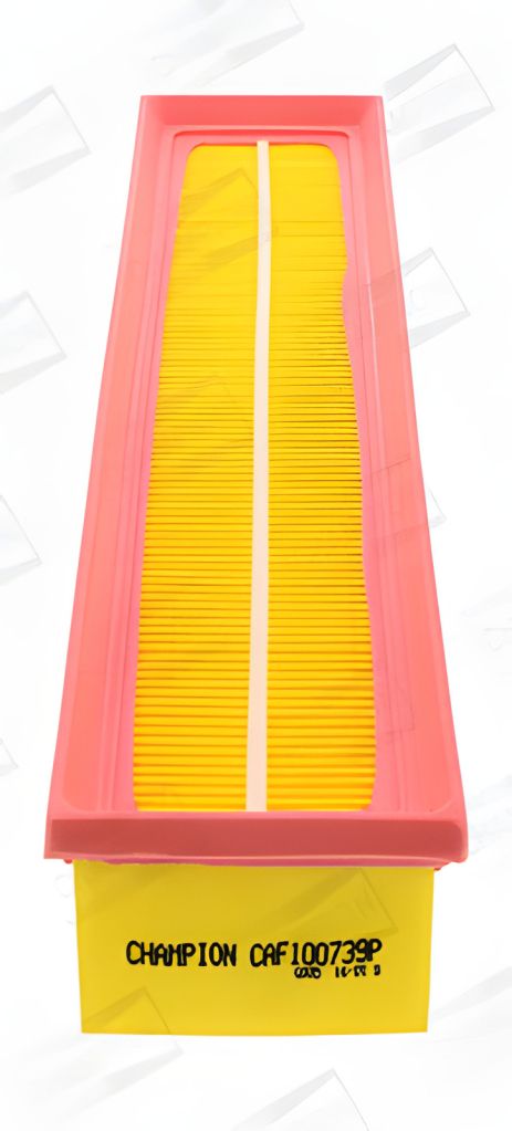 Воздушный фильтр DACIA LOGAN, NISSAN KUBISTAR, RENAULT THALIA, CHAMPION (CAF100739P)