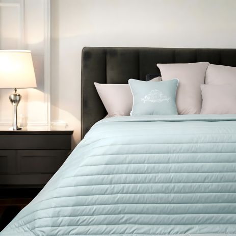 Стильное двухстороннее покрывало Люкс IDEIA 220х240 см, мятное/светло-серое с антиаллергенным волокном (8-13499*007) Стильное двухстороннее покрывало Люкс IDEIA 220х240 см, мятное/светло-серое с антиаллергенным волокном (8-13499*007)