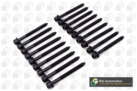Комплект болтов ГБЦ для NISSAN CABSTAR, BGA (BK3355)