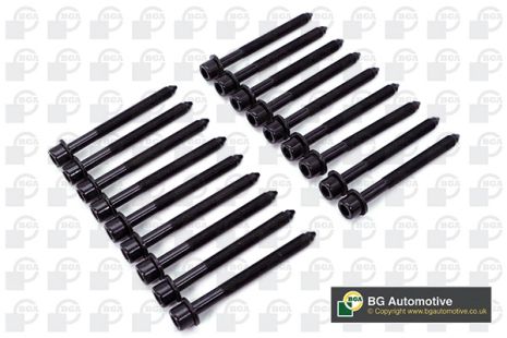 Комплект болтов ГБЦ NISSAN CABSTAR, BGA (BK3355)
