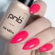 Гель-лак PNB 116 Sweets, 8 мл