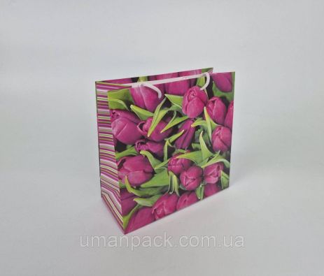 Пакет бумажный подарочный квадратный 23*24*10(артKV-055) (12 шт)