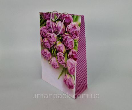 Бумажный пакет подарочный Гиганты вертикальные(30х42х12)(артGV-004) (12 шт)