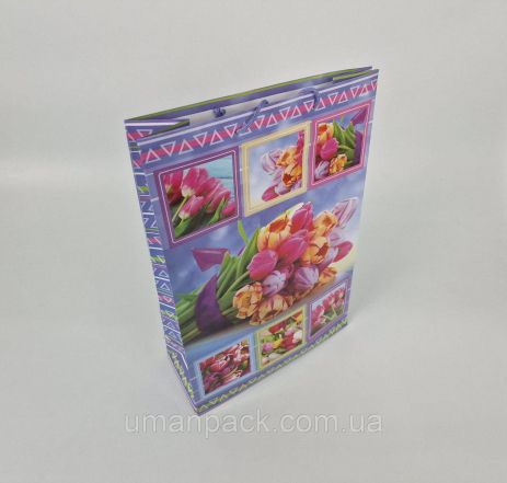 Бумажный пакет подарочный Гиганты вертикальные(30х42х12)(артGV-021) (12 шт)