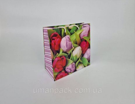 Пакет бумажный подарочный квадратный 23*24*10(артKV-053) (12 шт)