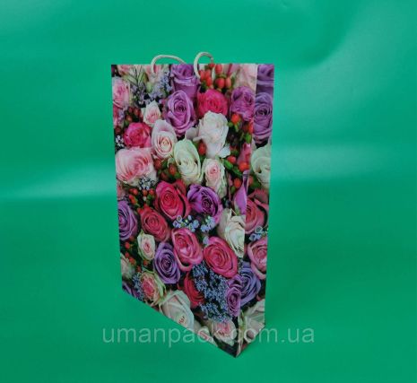 Великий паперовий пакет вертикальний 25/37/8 (артBV-195) (12 шт.)