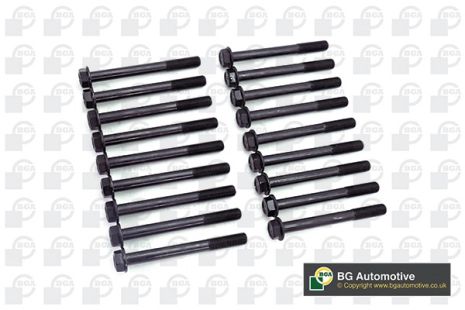 Комплект болтов ГБЦ FORD MAVERICK, NISSAN TRADE, BGA (BK5332)