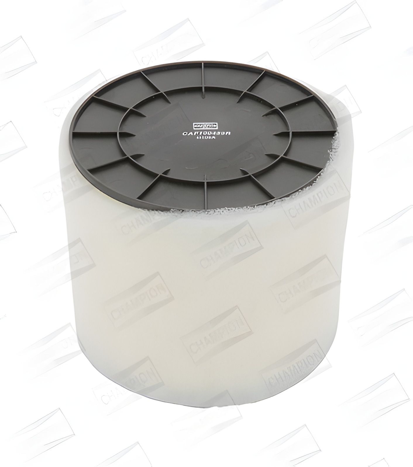 Повітряний фільтр AUDI Q5, A5, A4, CHAMPION (CAF100489R) Повітряний фільтр AUDI Q5, A5, A4, CHAMPION (CAF100489R)