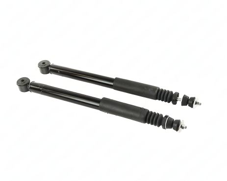 Задние амортизаторы Symbol/Clio, RENAULT (7701479314) 2 шт. в упак.