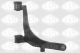 Рычаг подвески NISSAN INTERSTAR, OPEL MOVANO, RENAULT MASTER, SASIC (9005768)