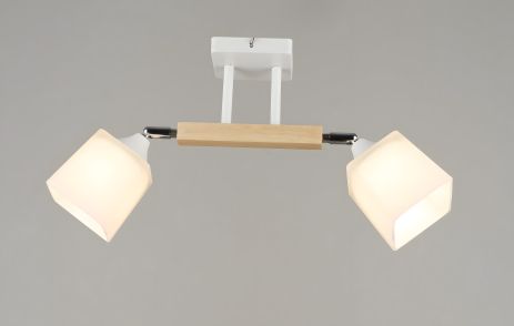 Люстра на 2 плафона Sirius B N4719/2