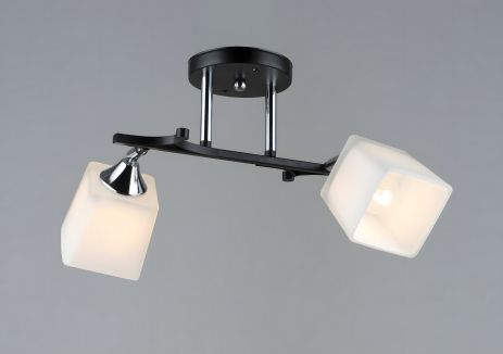 Люстра модель B N5488/2 BK+CH с 2 плафонами