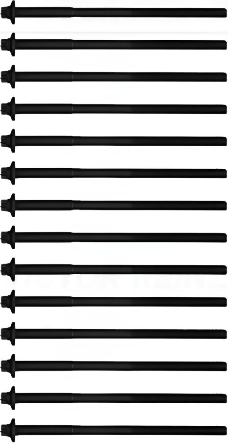 Болтів ГБЦ комплект DAEWOO TOSCA, CHEVROLET EPICA, VICTOR REINZ (143236501) Болтів ГБЦ комплект DAEWOO TOSCA, CHEVROLET EPICA, VICTOR REINZ (143236501)