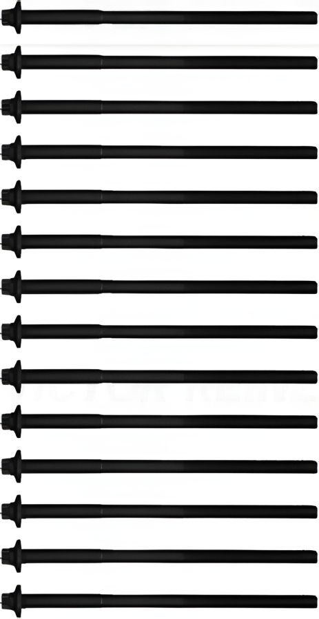 Комплект болтов ГБЦ для DAEWOO TOSCA и CHEVROLET EPICA, VICTOR REINZ (143236501) Комплект болтов ГБЦ для DAEWOO TOSCA и CHEVROLET EPICA, VICTOR REINZ (143236501)