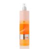 Двухфазный спрей-кондиционер Erayba NutriActive N18 Collastin 2-phase Conditioner несмываемый, 500 мл Двухфазный спрей-кондиционер Erayba NutriActive N18 Collastin 2-phase Conditioner несмываемый, 500 мл