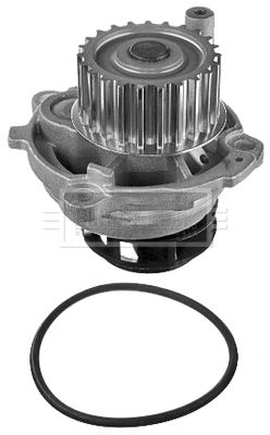 ΠΠΎΠ΄ΡΠ½ΠΈΠΉ Π½Π°ΡΠΎΡ SEAT EXEO, SKODA OCTAVIA, VW TOURAN, BORG & BECK (BWP2029) ΠΠΎΠ΄ΡΠ½ΠΈΠΉ Π½Π°ΡΠΎΡ SEAT EXEO, SKODA OCTAVIA, VW TOURAN, BORG & BECK (BWP2029)