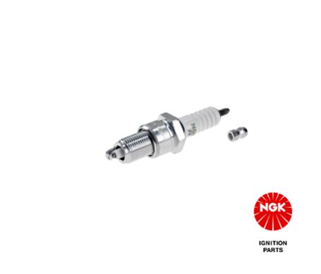 Свеча зажигания BERTONE FREECLIMBER, BMW 7, BMW 6, NGK (2941)