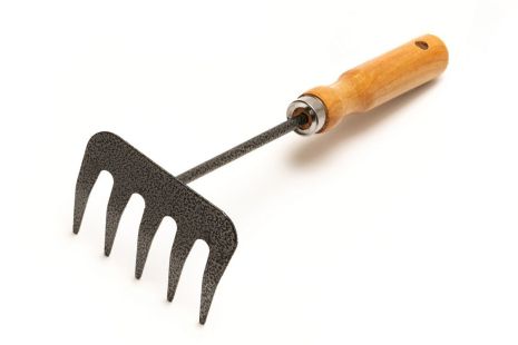 Граблі садові 5 зубів 255х95 мм з дерев'яною ручкою MASTERTOOL 14-6191