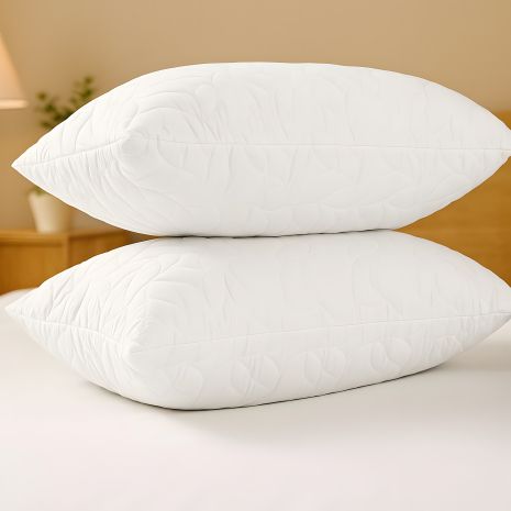 Антиаллергенный набор подушек Breeze IDEIA 2 шт 50x70 см с искусственным пухом и чехлом на молнии (8-35955*001) Антиаллергенный набор подушек Breeze IDEIA 2 шт 50x70 см с искусственным пухом и чехлом на молнии (8-35955*001)