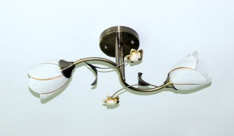 Стельова люстра Sirius B N1508/2 з двома плафонами