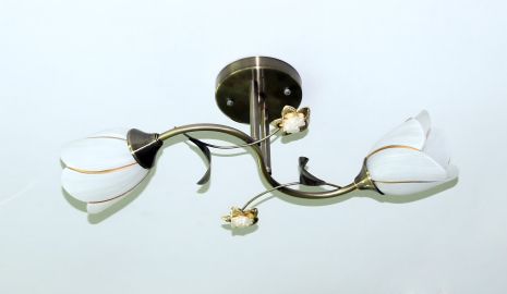 Стельова люстра Sirius B N1508/2 з двома плафонами