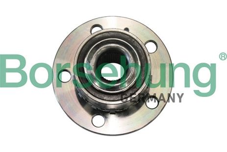 Маточина у зборі SKODA FABIA, VW TAIGO, SEAT IBIZA, BORSEHUNG (B19285)