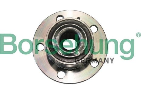 Маточина у зборі SKODA FABIA, VW TAIGO, SEAT IBIZA, BORSEHUNG (B19285)