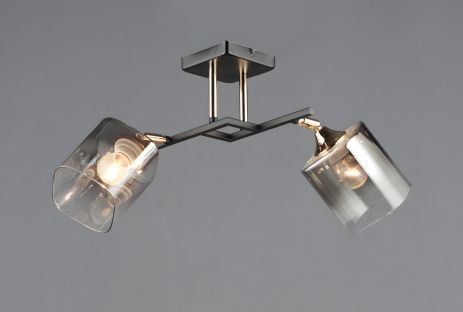 Потолочный осветительный прибор N6647/2 Потолочный осветительный прибор N6647/2
