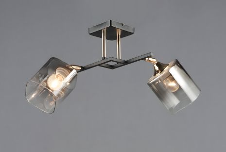 Потолочный осветительный прибор N6647/2 Потолочный осветительный прибор N6647/2