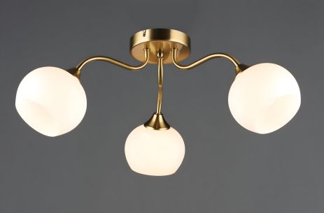 Потолочный светильник N6632/3