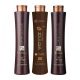 Набір кератину Wennoz Brasil (Honma Tokyo) Coffee Premium Keratin 3х200 мл (розлив)