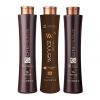 Набір кератину Wennoz Brasil (Honma Tokyo) Coffee Premium Keratin 3х50 г (розлив)