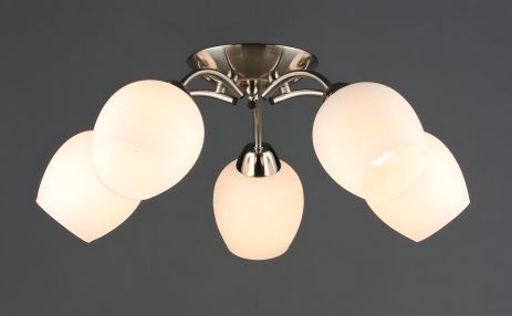 Потолочная люстра N6629/5 Потолочная люстра N6629/5