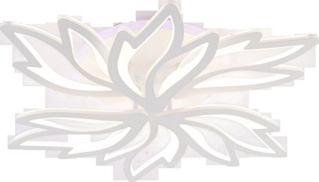 Світильник стельовий LI9862-3+3