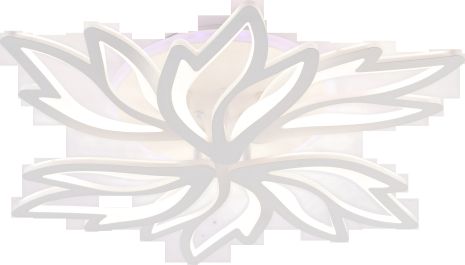 Потолочный светильник LI9862-3+3