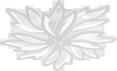 Светильник потолочный LI9862-4+4