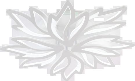 Светильник потолочный LI9862-4+4 Светильник потолочный LI9862-4+4