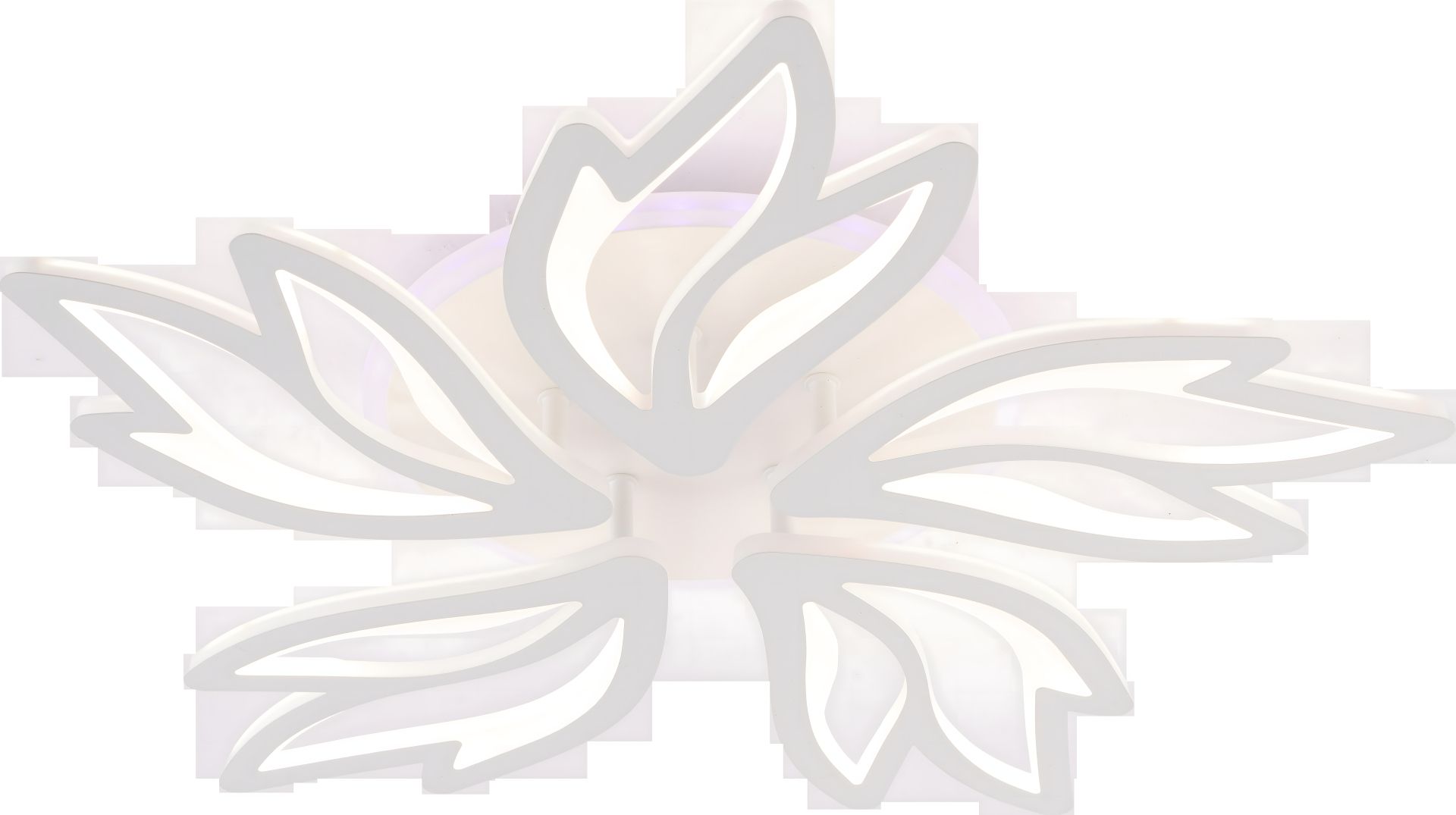 LI9862-5 Світильник стельовий LI9862-5 Світильник стельовий