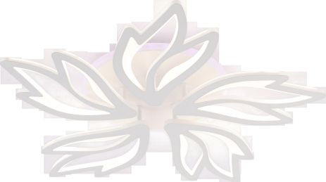 LI9862-5 Світильник стельовий LI9862-5 Світильник стельовий