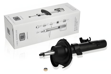 FORD KUGA Амортизатор, TRIALLI (AG10173) FORD KUGA Амортизатор, TRIALLI (AG10173)