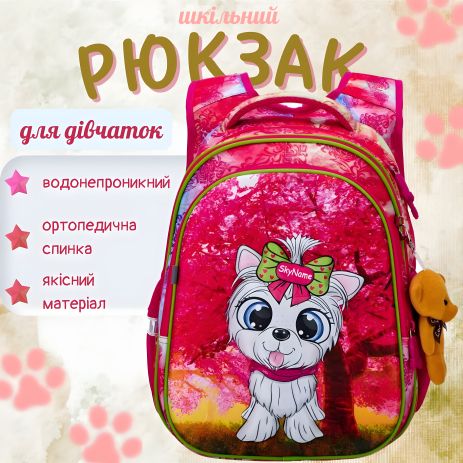 Ранец школьный для девочки, ортопедическая спинка, Sky Name (Winner), розовый