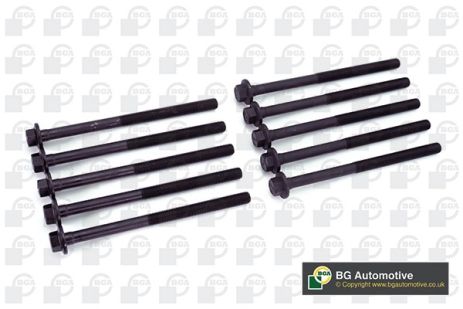 Комплект болтов ГБЦ ALFA ROMEO, FIAT CROMA, BGA (BK4349)