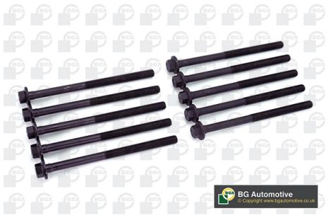 Комплект болтов ГБЦ ALFA ROMEO, FIAT CROMA, BGA (BK4349)