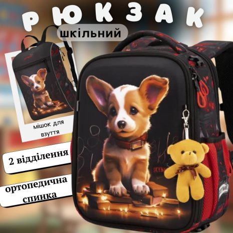 Комплект школьный рюкзак и сумка для начальных классов.